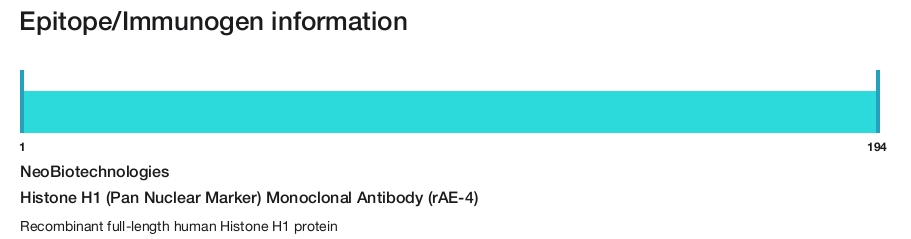 Histone H1 (Pan Nuclear Marker) Monoclonal Antibody (rAE-4)