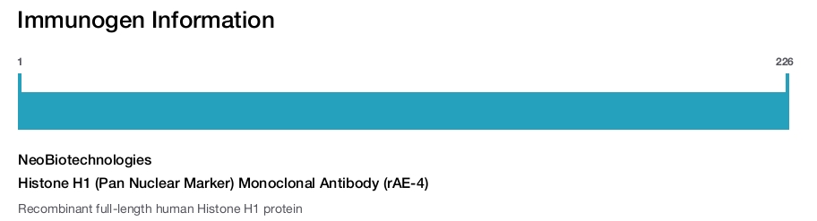 Histone H1 (Pan Nuclear Marker) Monoclonal Antibody (rAE-4)