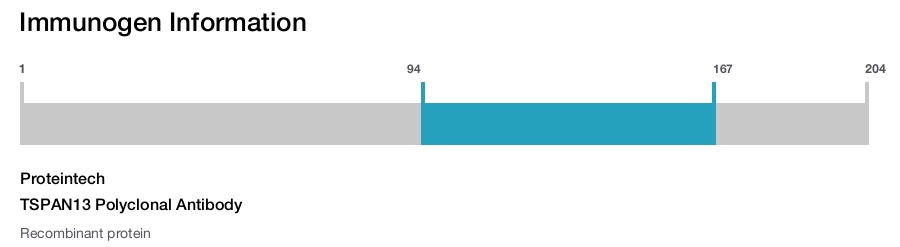 TSPAN13 Polyclonal Antibody