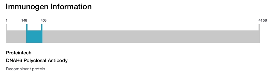 DNAH6 Polyclonal Antibody