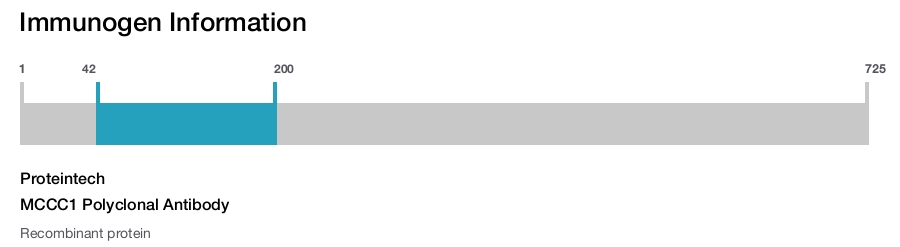 MCCC1 Polyclonal Antibody