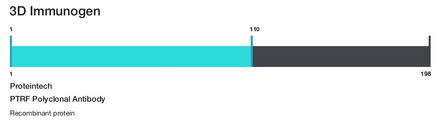 PTRF Polyclonal Antibody