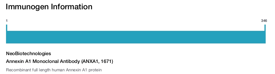 Annexin A1 Monoclonal Antibody (ANXA1, 1671)