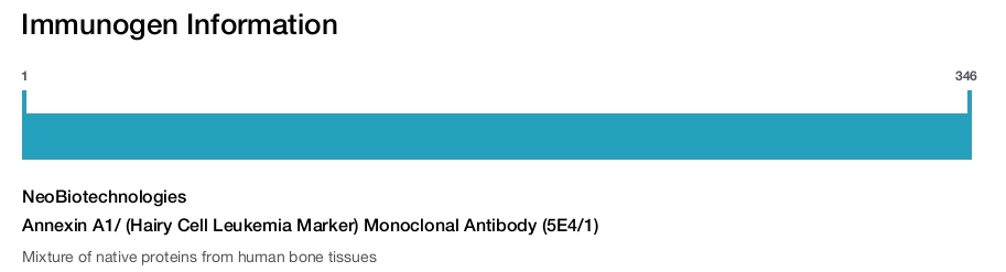 Annexin A1/ (Hairy Cell Leukemia Marker) Monoclonal Antibody (5E4/1)