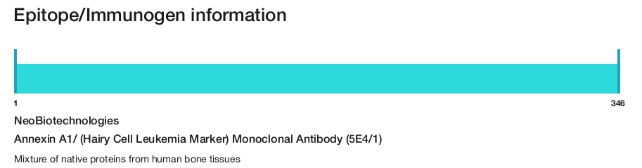 Annexin A1/ (Hairy Cell Leukemia Marker) Monoclonal Antibody (5E4/1)