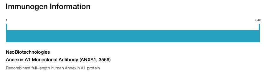 Annexin A1 Monoclonal Antibody (ANXA1, 3566)