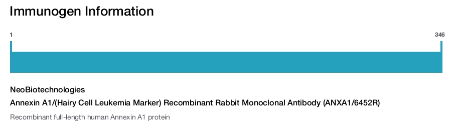 Annexin A1/(Hairy Cell Leukemia Marker) Recombinant Rabbit Monoclonal Antibody (ANXA1/6452R)