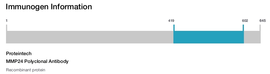 MMP24 Polyclonal Antibody