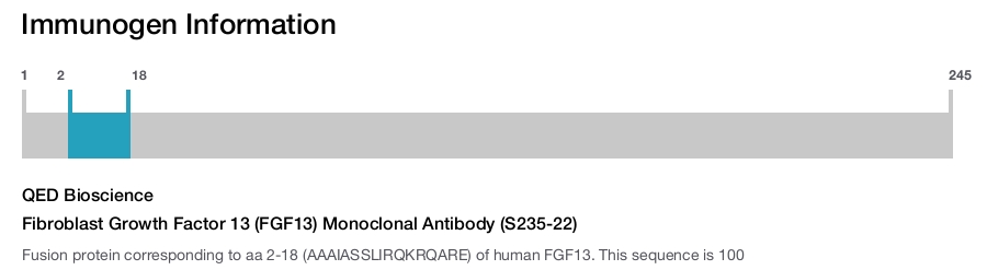 Fibroblast Growth Factor 13 (FGF13) Monoclonal Antibody (S235-22)
