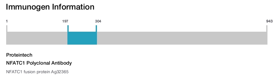NFATC1 Polyclonal Antibody