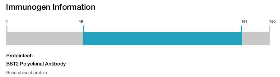 BST2 Polyclonal Antibody