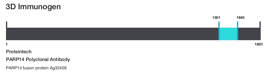 PARP14 Polyclonal Antibody