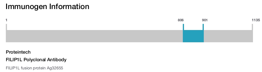 FILIP1L Polyclonal Antibody