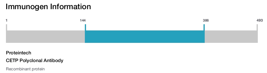 CETP Polyclonal Antibody