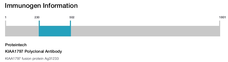 KIAA1797 Polyclonal Antibody