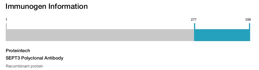 SEPT3 Polyclonal Antibody