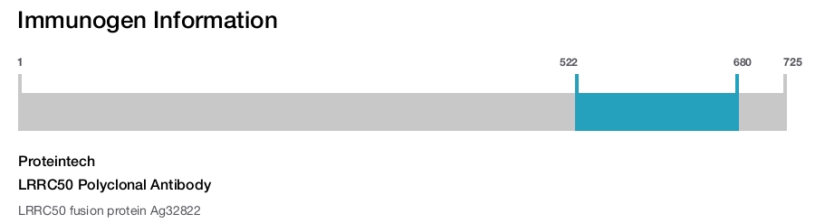 LRRC50 Polyclonal Antibody