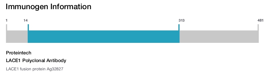 LACE1 Polyclonal Antibody