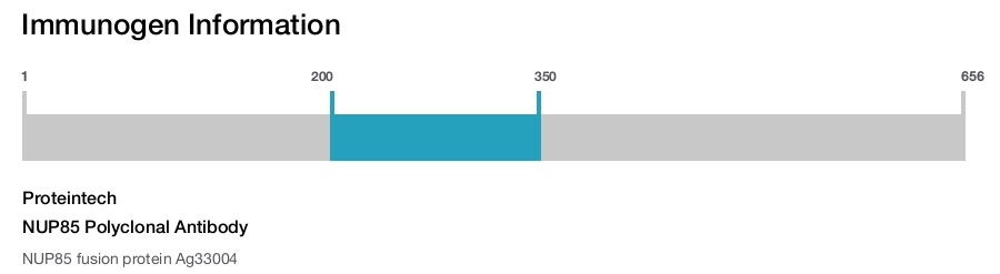 NUP85 Polyclonal Antibody
