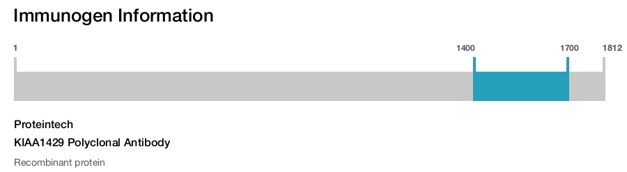 KIAA1429 Polyclonal Antibody