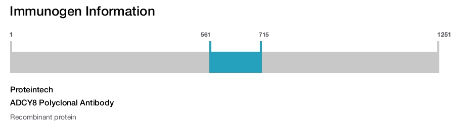 ADCY8 Polyclonal Antibody