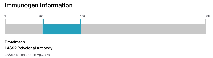 LASS2 Polyclonal Antibody