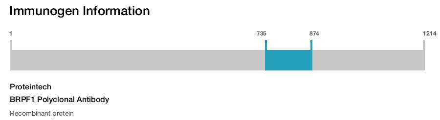BRPF1 Polyclonal Antibody