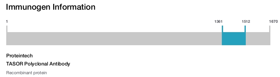 TASOR Polyclonal Antibody