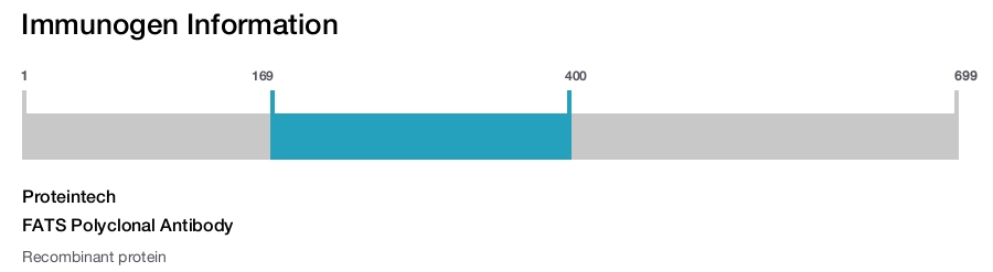 FATS Polyclonal Antibody