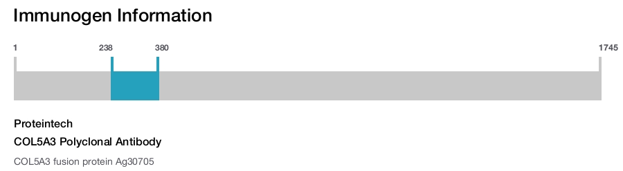 COL5A3 Polyclonal Antibody