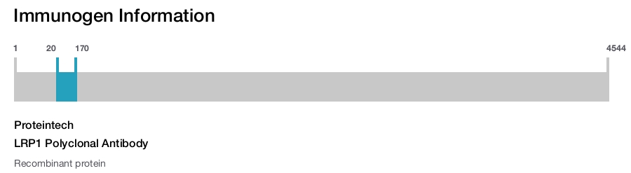 LRP1 Polyclonal Antibody