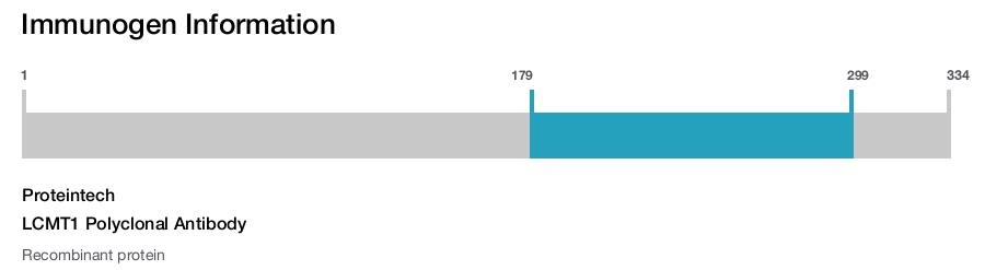 LCMT1 Polyclonal Antibody