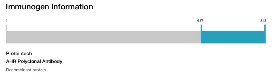 AHR Polyclonal Antibody