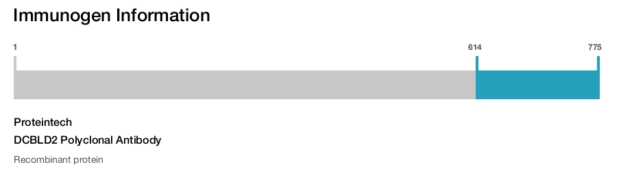 DCBLD2 Polyclonal Antibody