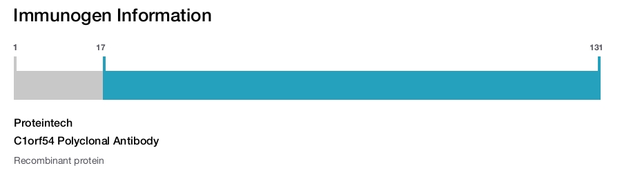 C1orf54 Polyclonal Antibody