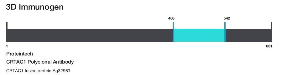 CRTAC1 Polyclonal Antibody