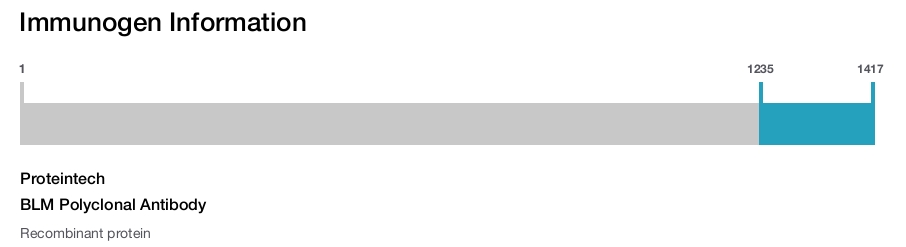 BLM Polyclonal Antibody