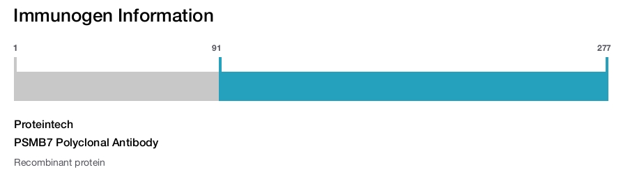PSMB7 Polyclonal Antibody