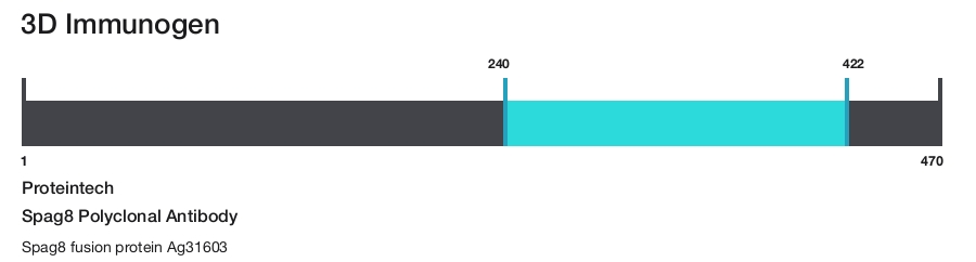 Spag8 Polyclonal Antibody