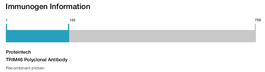 TRIM46 Polyclonal Antibody