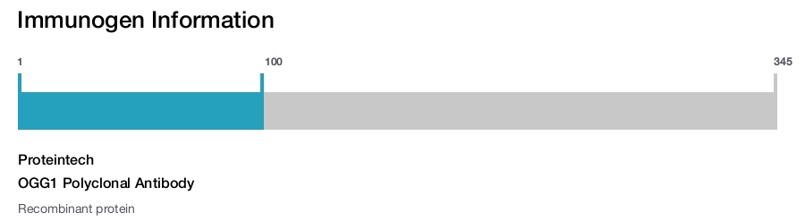 OGG1 Polyclonal Antibody