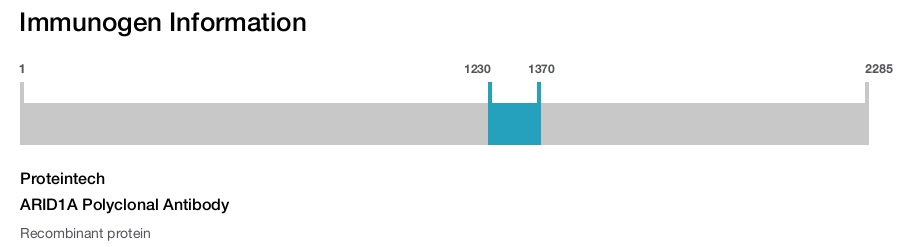 ARID1A Polyclonal Antibody