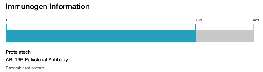 ARL13B Polyclonal Antibody