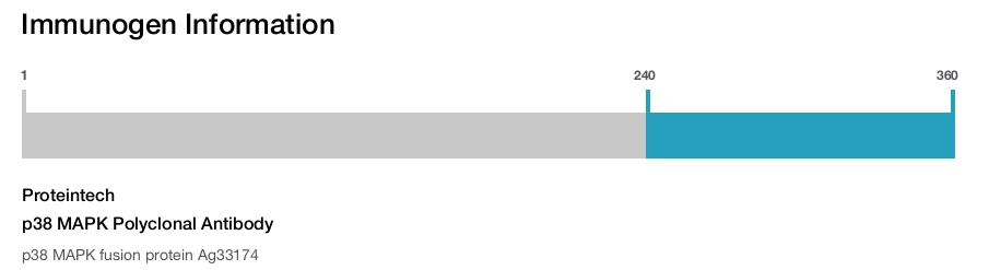 p38 MAPK Polyclonal Antibody