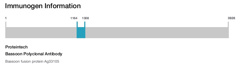 Bassoon Polyclonal Antibody