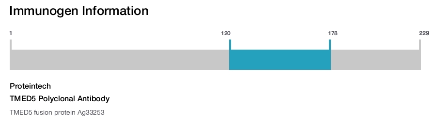 TMED5 Polyclonal Antibody