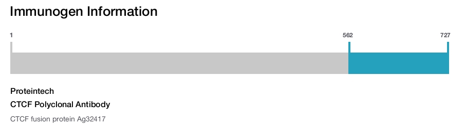 CTCF Polyclonal Antibody