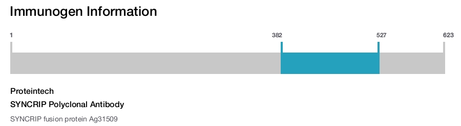 SYNCRIP Polyclonal Antibody