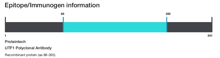 UTF1 Polyclonal Antibody