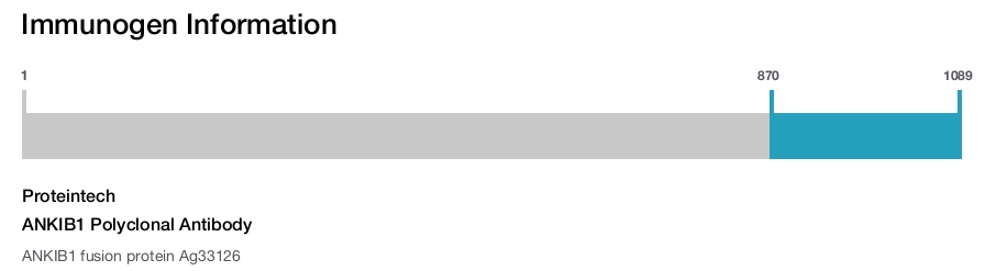 ANKIB1 Polyclonal Antibody
